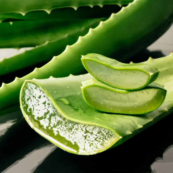 propiedades aloe vera propiedades aloe vera